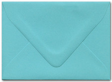 5 x 7 Envelope - Berrylicious