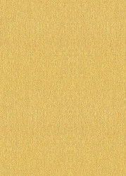 5 x 7 Paper - Stardream Gold