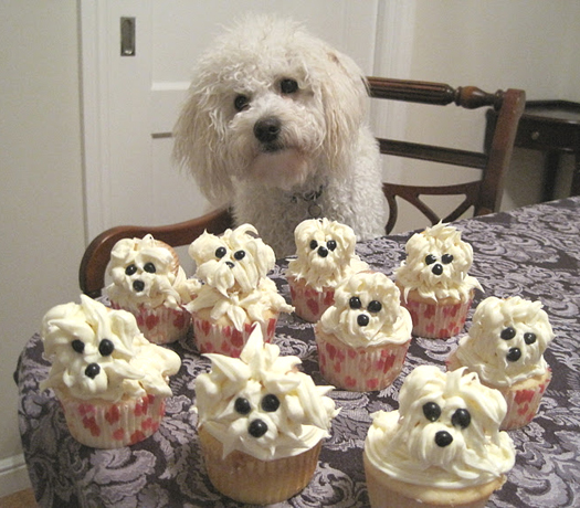 These Pupcakes are so cute!