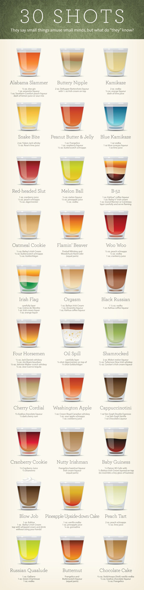 30 Shot Recipes