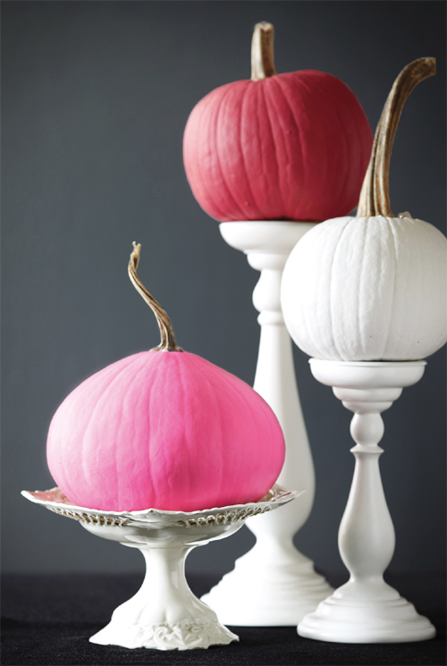 Painted Pumpkins Pink and White Color Blocking