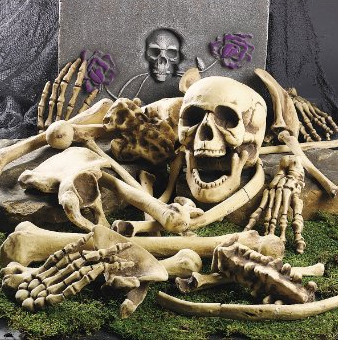 Halloween Skull and Skeleton Bones for Halloween Decorating