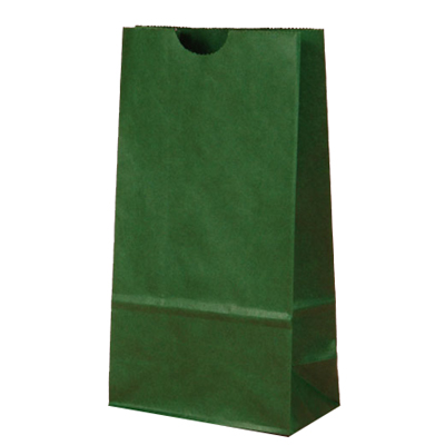 Green Lunch Bags for Holiday Party Favor Bags