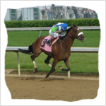Past Kentucky Derby Winners