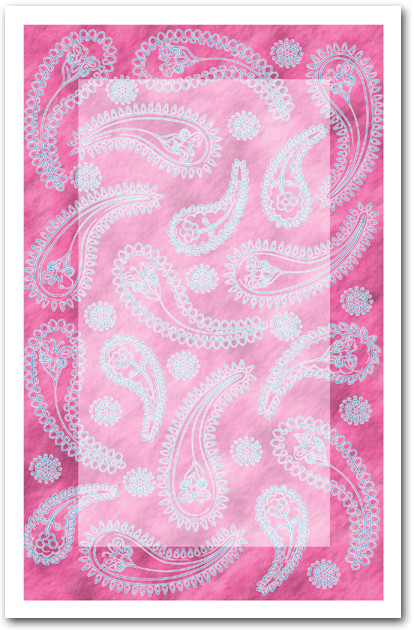 Pink & Aqua Paisley