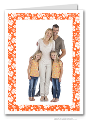 Hibiscus on Orange Tropical Holiday Photo Holder Cards (V)