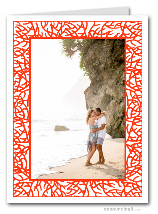 Red Coral Tropical Folded Christmas Holiday Photo Holder Cards (V)