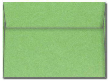 5 x 7 Envelope - Stardream Fairway