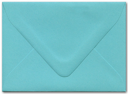 5 x 7 Envelope - Berrylicious