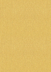 5 x 7 Paper - Stardream Gold
