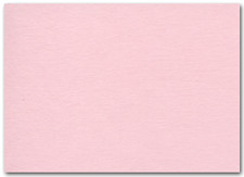 5 x 7 Paper - Pink Lemonade