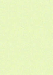 5 x 7 Paper - Stardream Serpentine