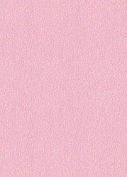 5 x 7 Paper - Stardream Rose