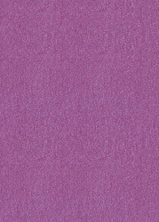3.5 x 4.75 Stardream Punch