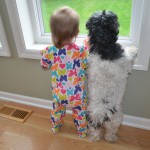 Baby and dog looking out the window