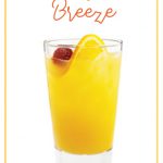 The Belmont Breeze Recipe – Signature Cocktail of the Belmont Stakes | Announcingit.com