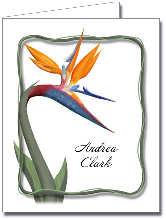 Note Cards: Bird of Paradise