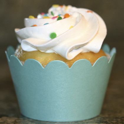 Shimmery Turquoise Cupcake Wrappers