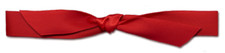 5/8 x 18 in. Red Ribbon