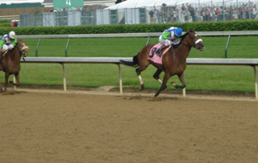 Barbaro wins the Kentucky Derby